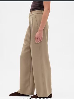 Fit beautifully!  GAP 365 High Rise Pleated Trousers (worn in photo only)